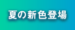 CSS適用イメージ「立体感たっぷりの表現」