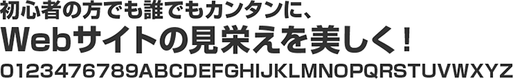 書体見本:新ゴ B
