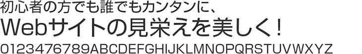 書体見本:新ゴ R