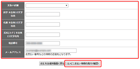 お支払い情報を入力、発行
